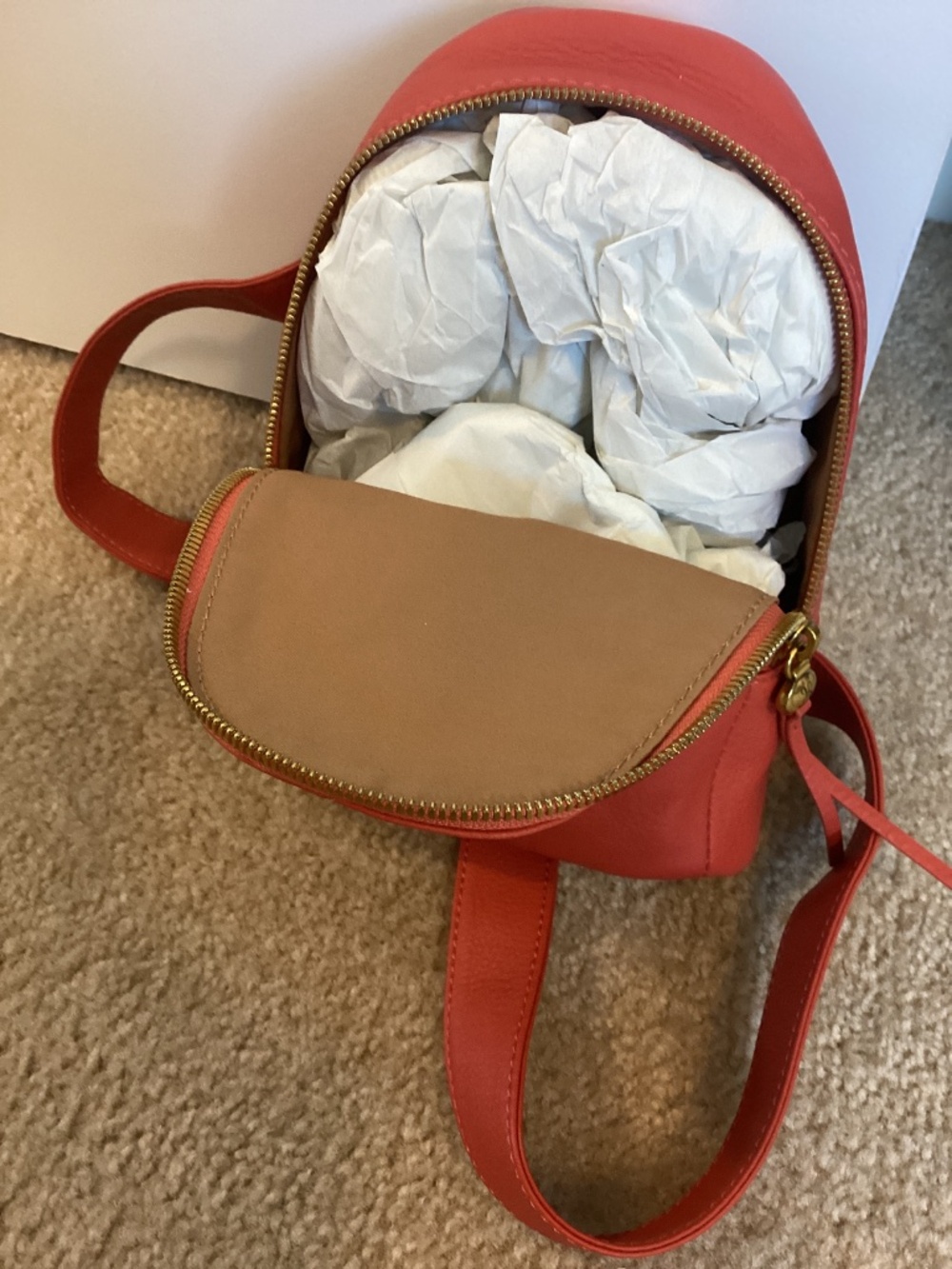 Hobo Fern Sling Bag in Red Clay - Picture 6 of 6